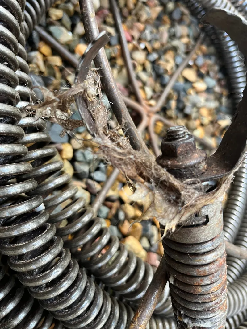 Tree roots wrapped around the cutting head of a drain cleaning machine after being cleared from a blocked drain